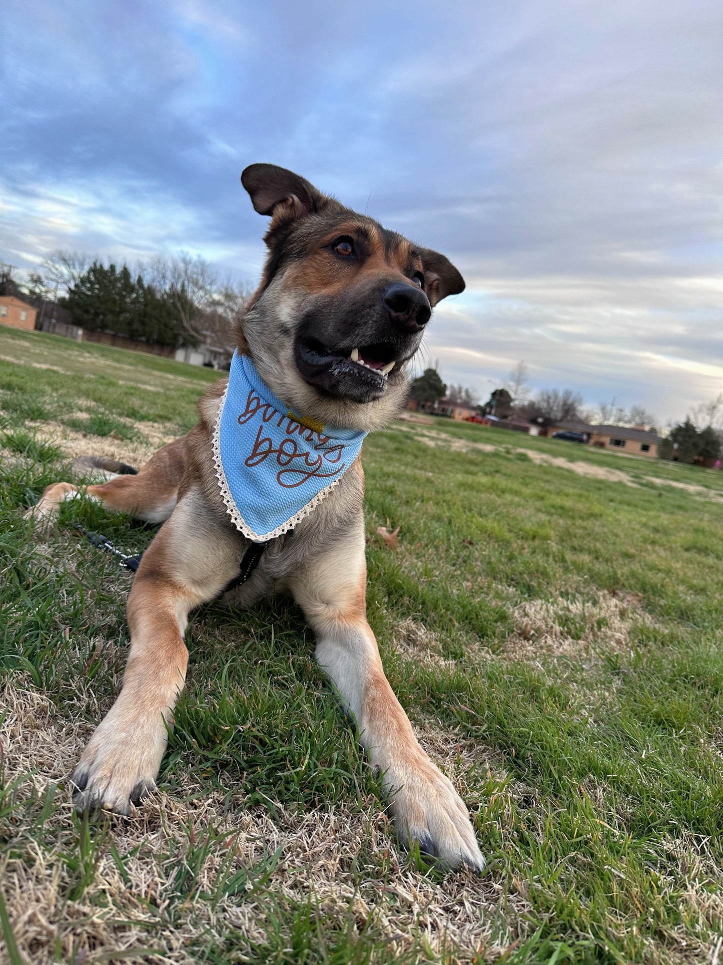 “Birthday Boy” Bandana