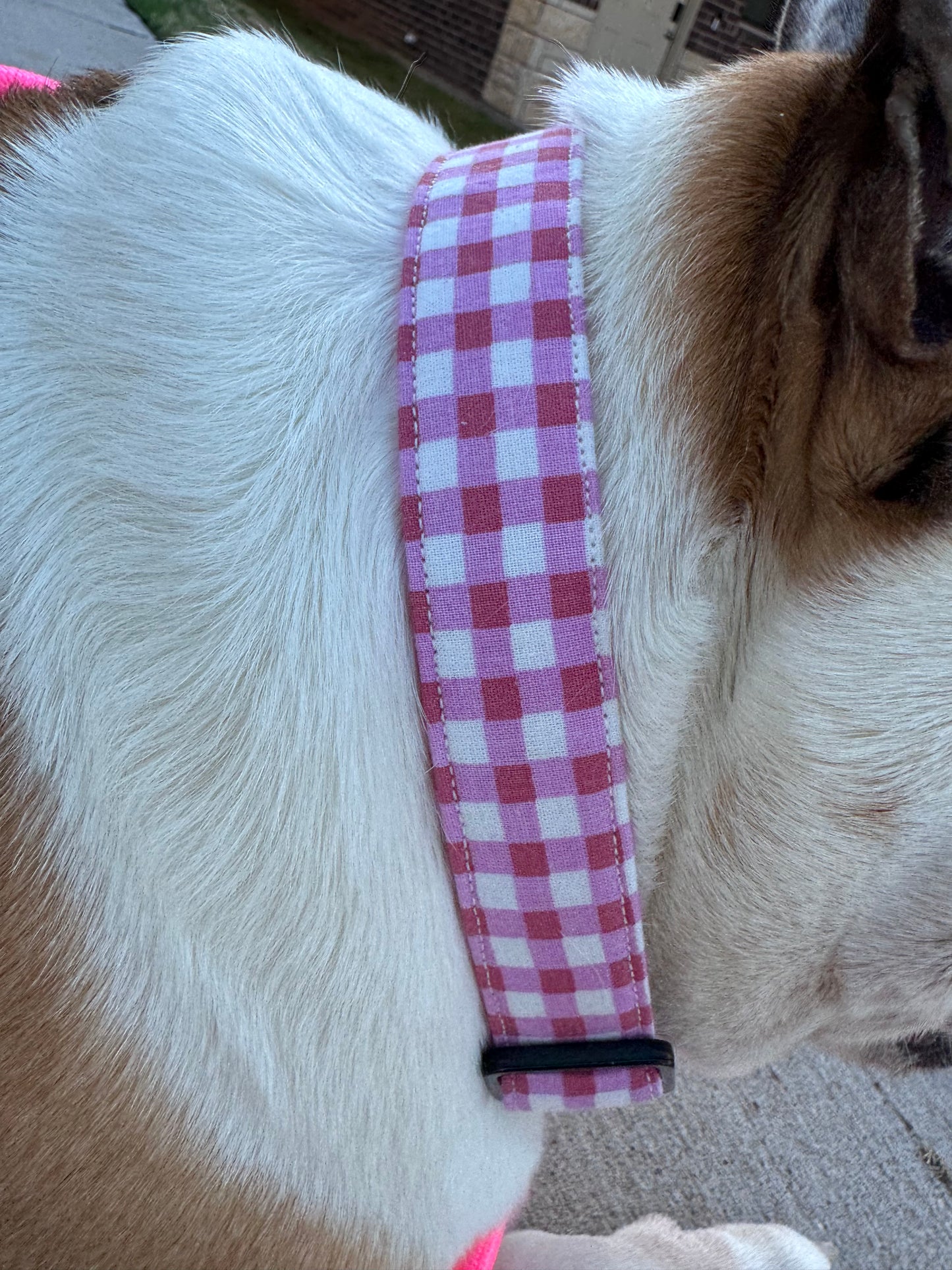 Pink Gingham Collar
