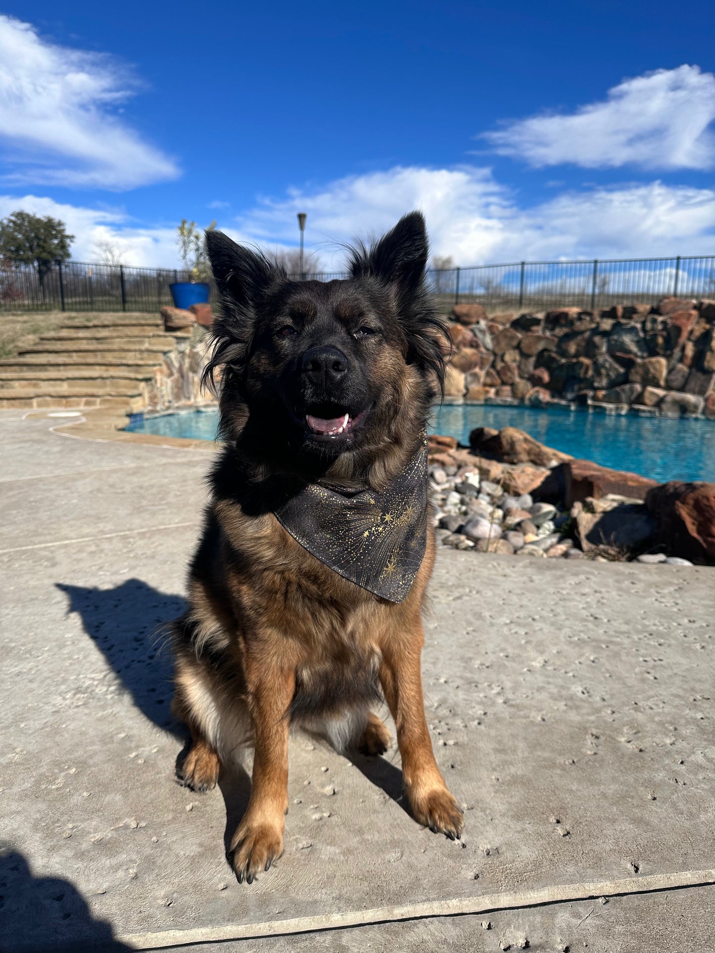 Shooting Stars and Gold Sparkle Reversible