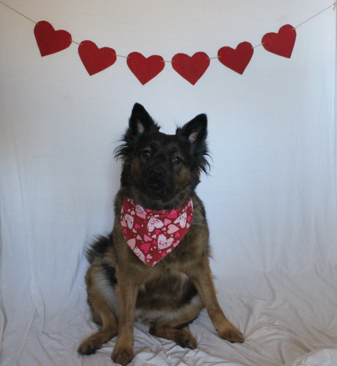 Kisses and Hearts Reverible