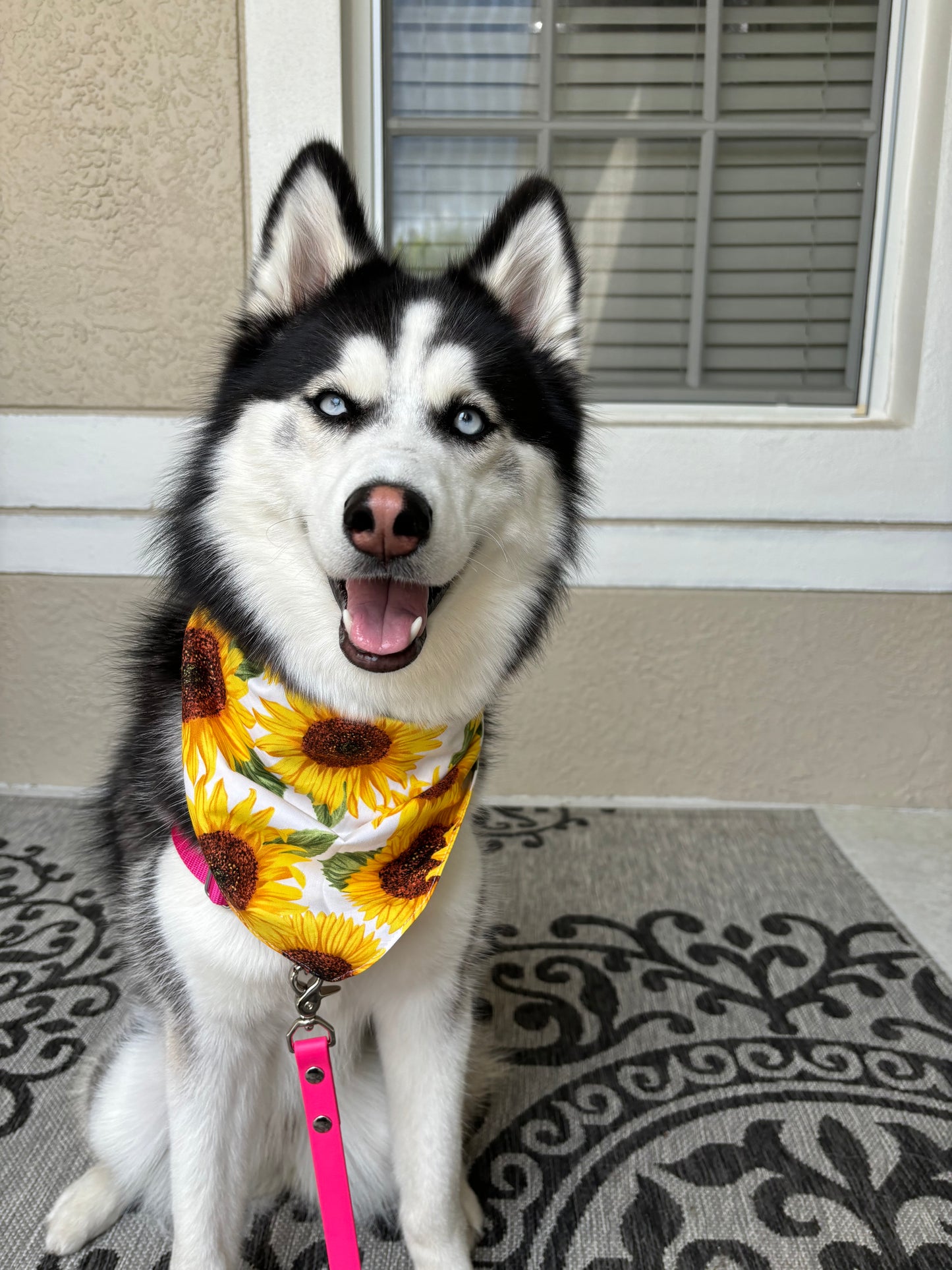 Sunflower Print Bandana
