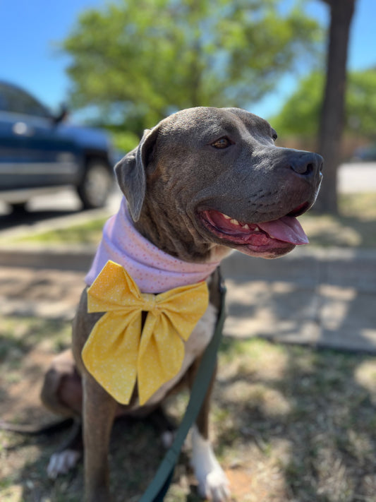 Yellow Floral Sailor Bow